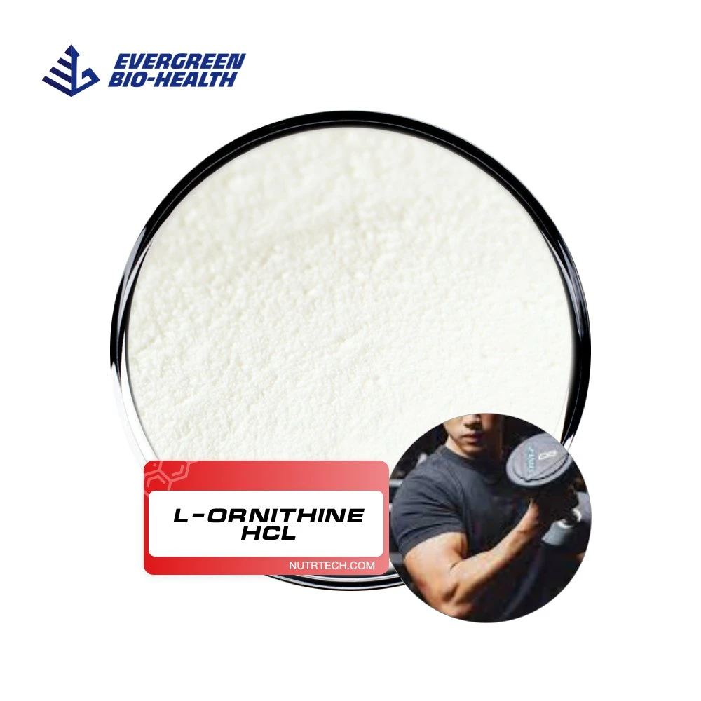 L-Ornithine Hydrochloride Nutritional Supplements L-Ornithine HCl with Low Price