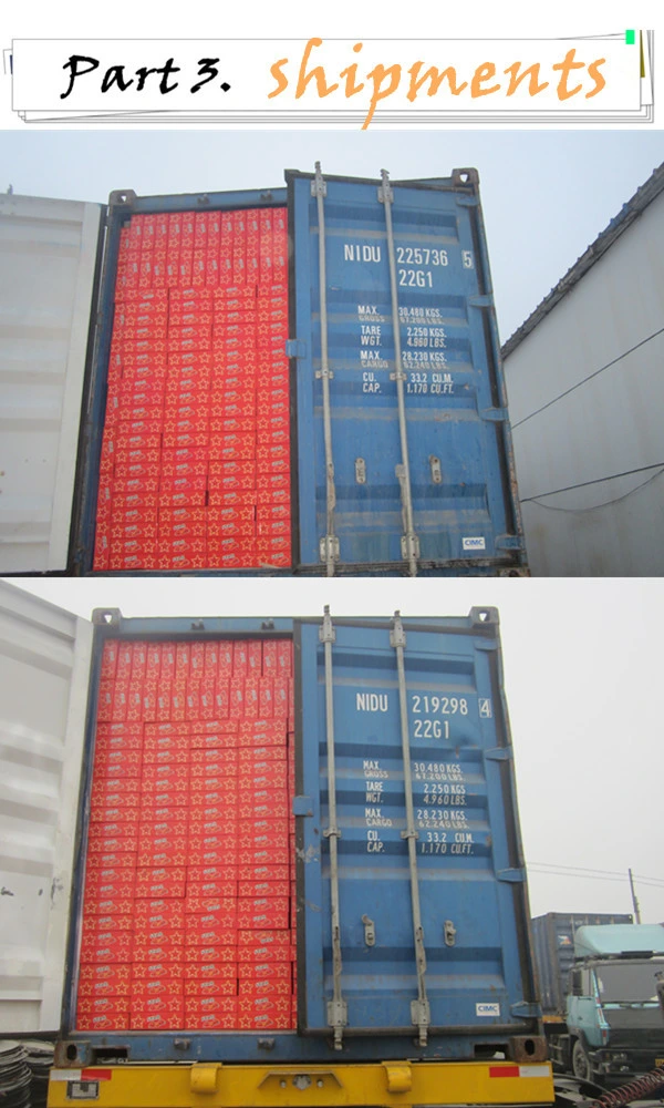 El doble de concentración de 210 gramos de pasta de tomate enlatada fabricante