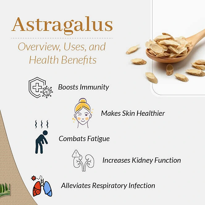 Chinese Tradition Medicine Organic Astragalus Root Extract Powder for Immunity Boosting Astragalus Powder