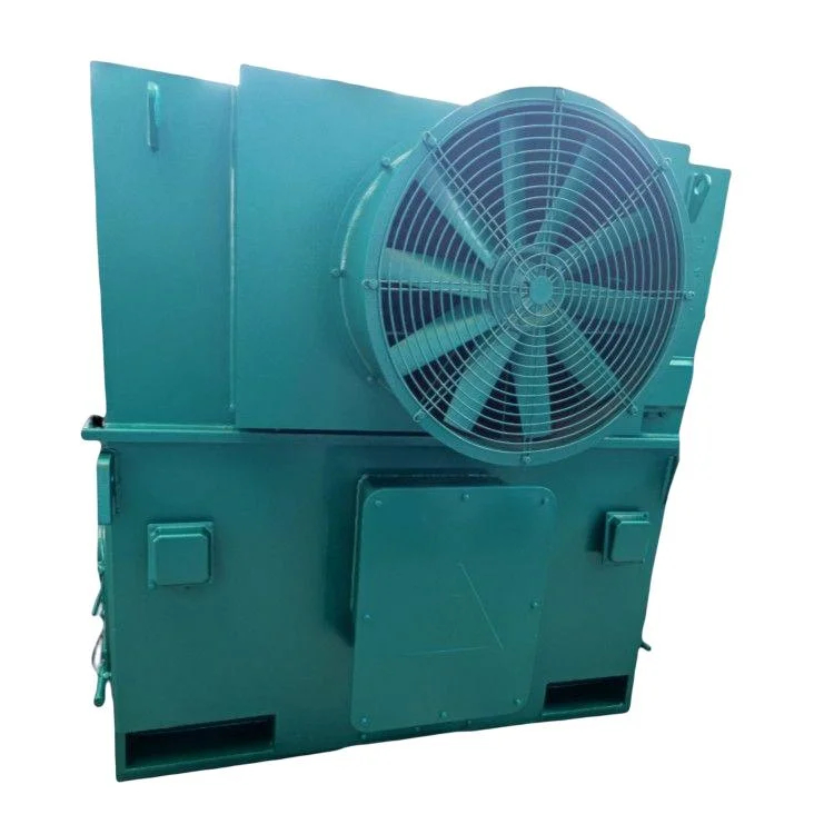 Electric Electrical Three Phase AC High Volt Motor Asynchronous Induction Motor