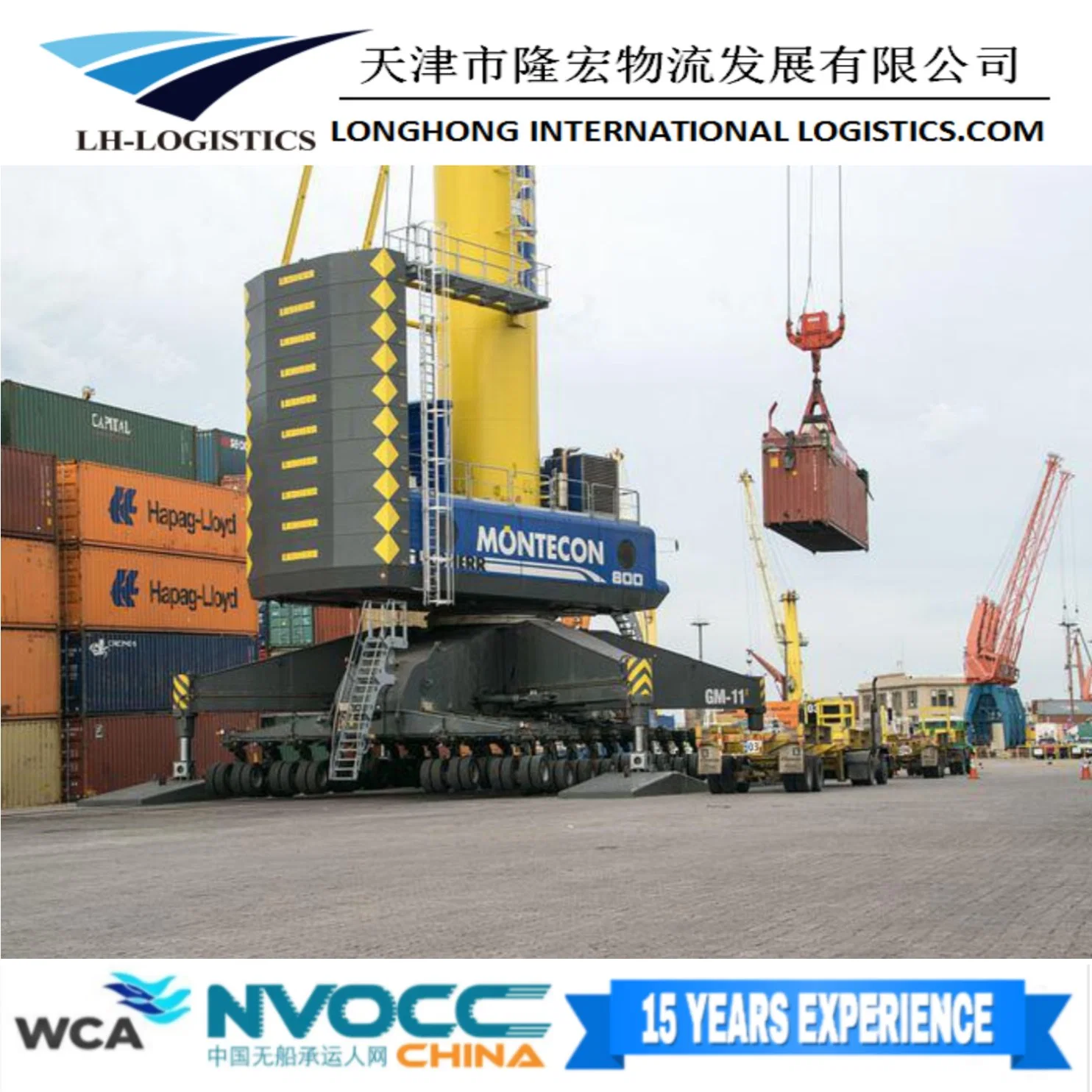 Professional Sea Freight Logistics Services From Shenzhen/Guangzhou/Shanghai/Ningbo to Jakarta/Manila