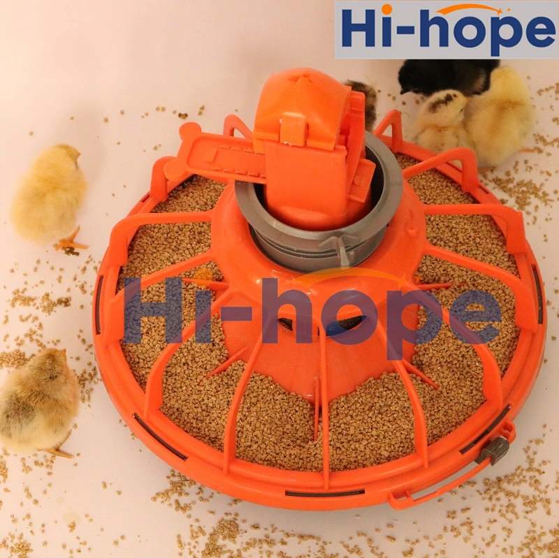 Las aves de corral equipo automático de la jaula de pollos Coop recipiente del sinfín Sistema de alimentación