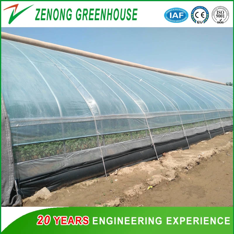 Heat Insulation Solar Greenhouse for Agriculture Planting in Winter