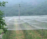 Neto agrícola, la prueba de insectos Net