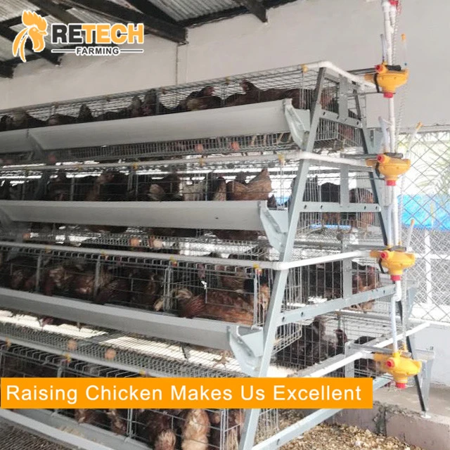 Durable hot-dip galvanized 3 tiers egg layer chicken cages