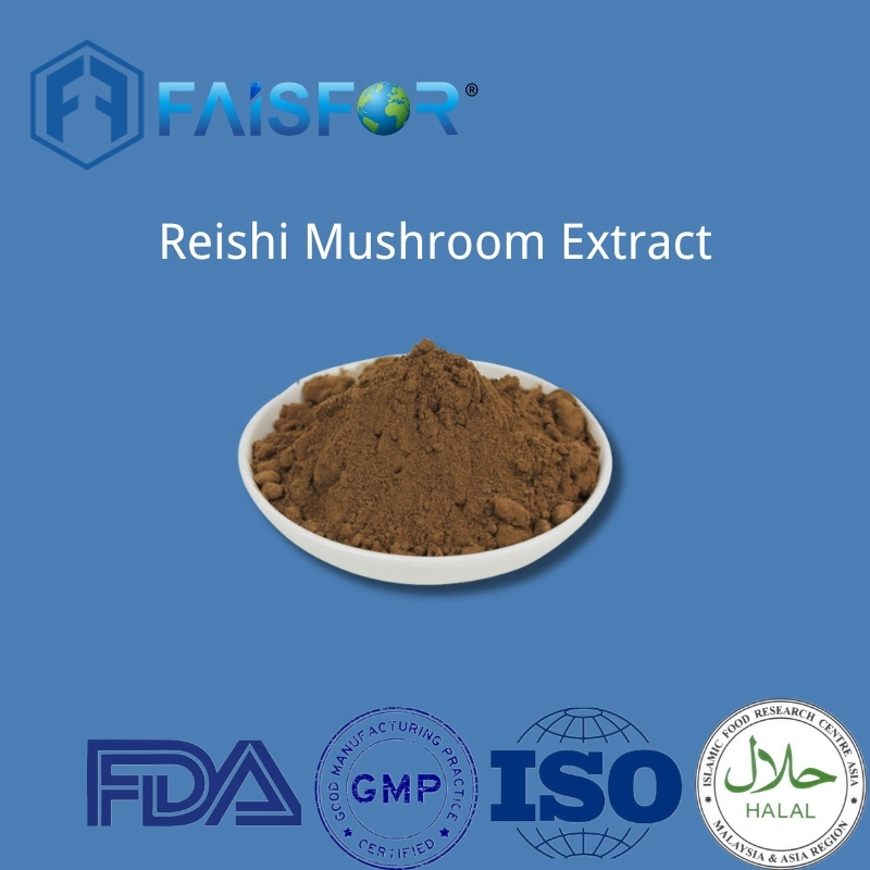 Additif alimentaire Reishi extrait de champignon poudre pour les soins de santé