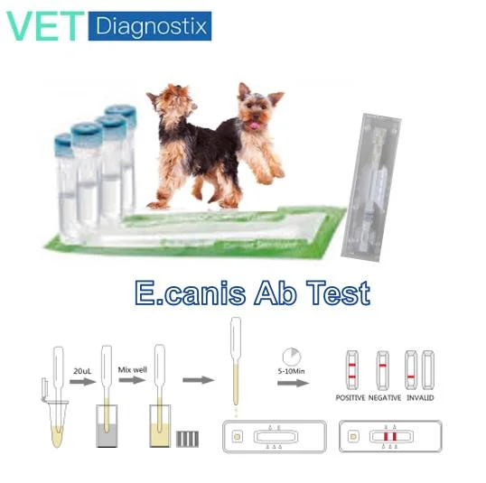 Kit de Ab Ehr Anticuerpo de la Ehrlichia canina Test rápido de prueba de diagnóstico veterinario.