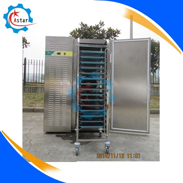 El uso comercial blast freezer para la venta