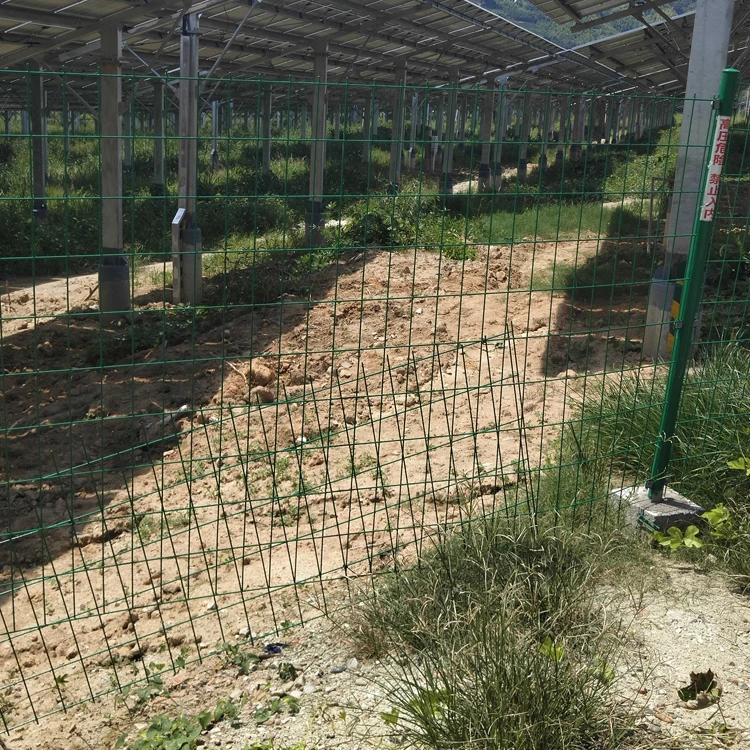 Le treillis soudé en métal recouvert de plastique panneau/enduit de PVC de clôture de treillis soudés de bord