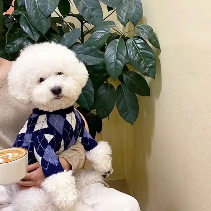 Autumn Warm Eco Friendly Luxury Designer Pet Accessories Apparel Dog Clothes Sweater