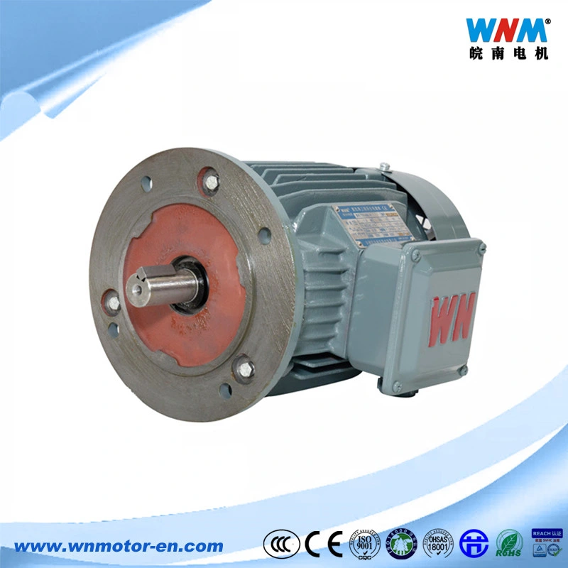 Variable Speed Motor Permanent Magnet Electric Motors