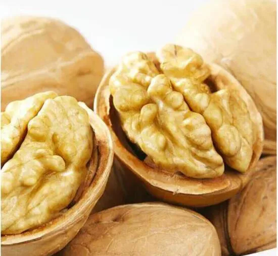 Xinjiang High Yield of 185 Walnut Nut Kernel