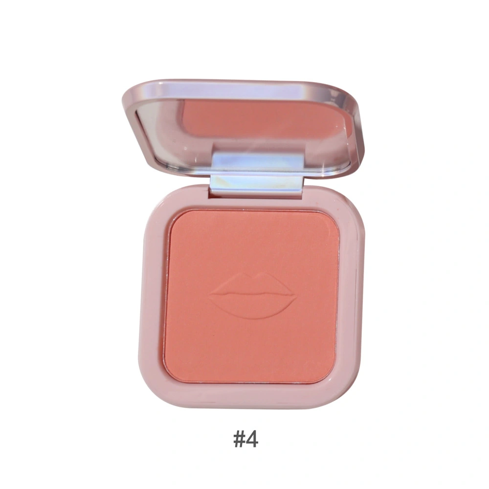 6 Colors Custom Logo Cosmetics Blusher Makeup for Face Eyes High Pigmented Single Blusher Powder Palette