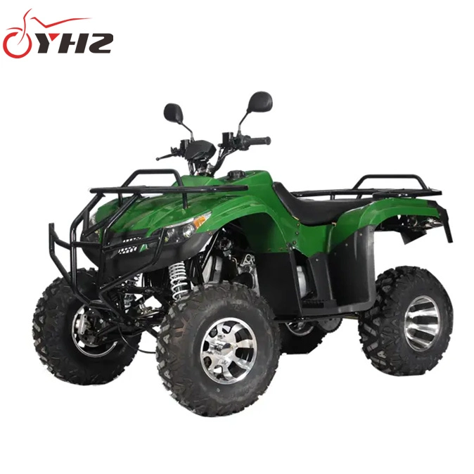 Adult Four-Strokes Four Wheel Offroad Quad Bike 250cc ATV