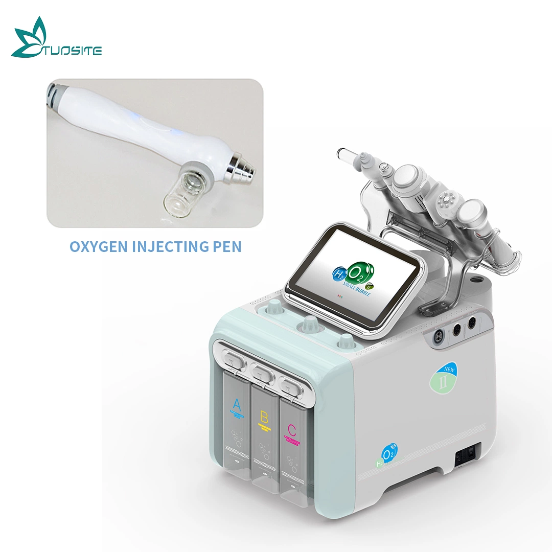 Multi-Functional Skin Care Oxygen Therapy Face Hydra Beauty Equipment