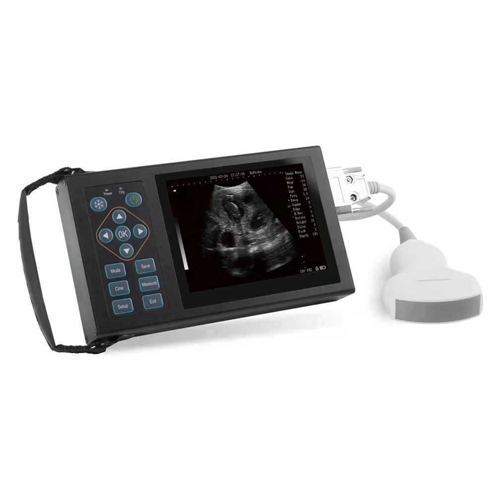 ICEN Vet Animal Use Ultrasound Equipment Veterinary Full Digital Ultrasonic Diagnostic Instrument