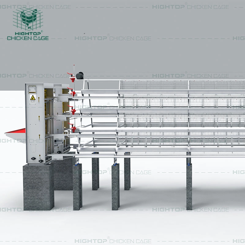 Granja Avícola de Sudáfrica de la capa de huevo jaulas de aves de corral pollo totalmente automática