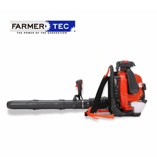 Holzfforma 2 Stroke 75.6cc High quality/High cost performance  Powerful Snow Dust Leaf Gasoline Blower