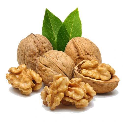 Healthy Snacks Paper Shell Walnuts Easy Crack Thin Skin Walnut Inshell From China