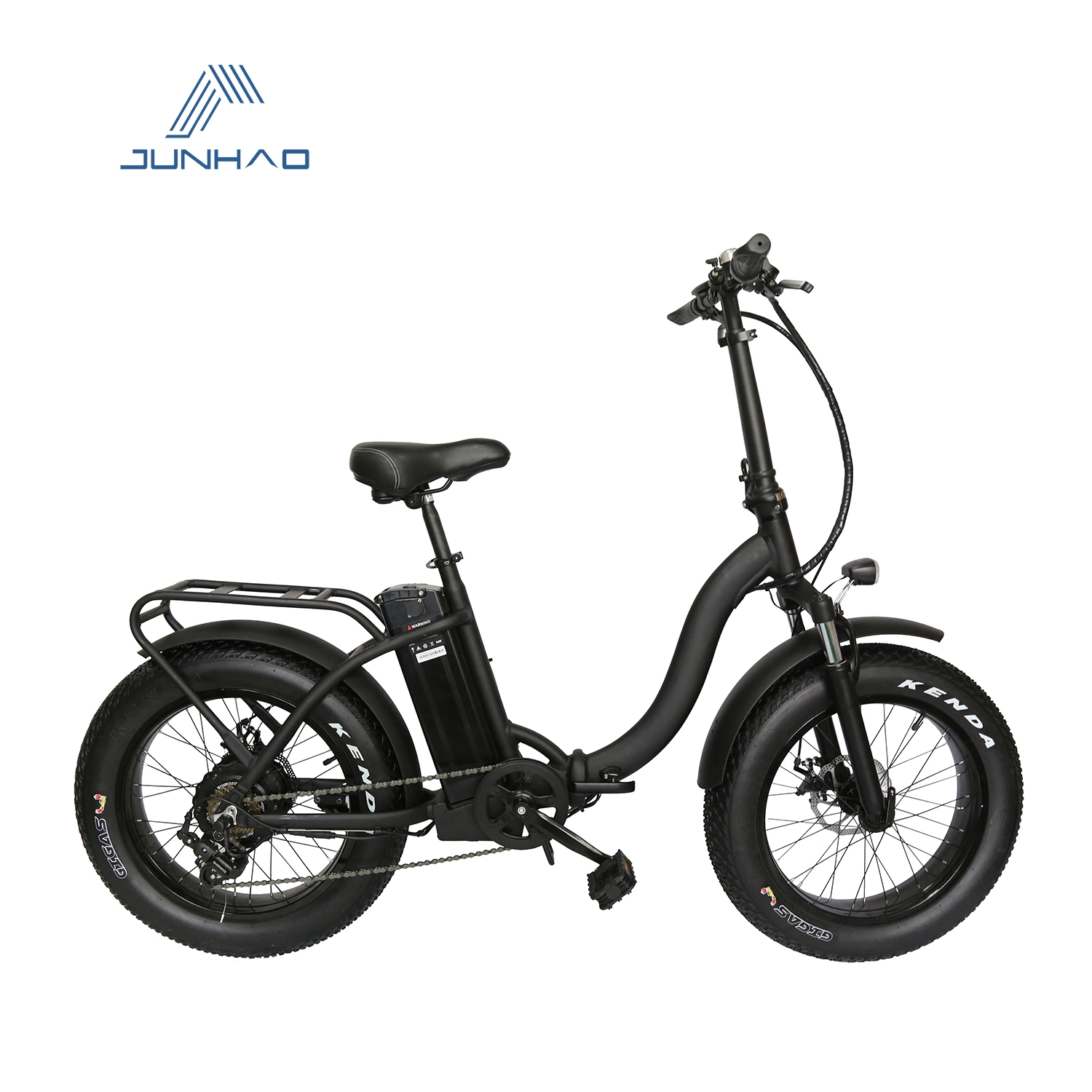 20 Inch Step-Thru Fat Tire Electric Bicycle with Ce