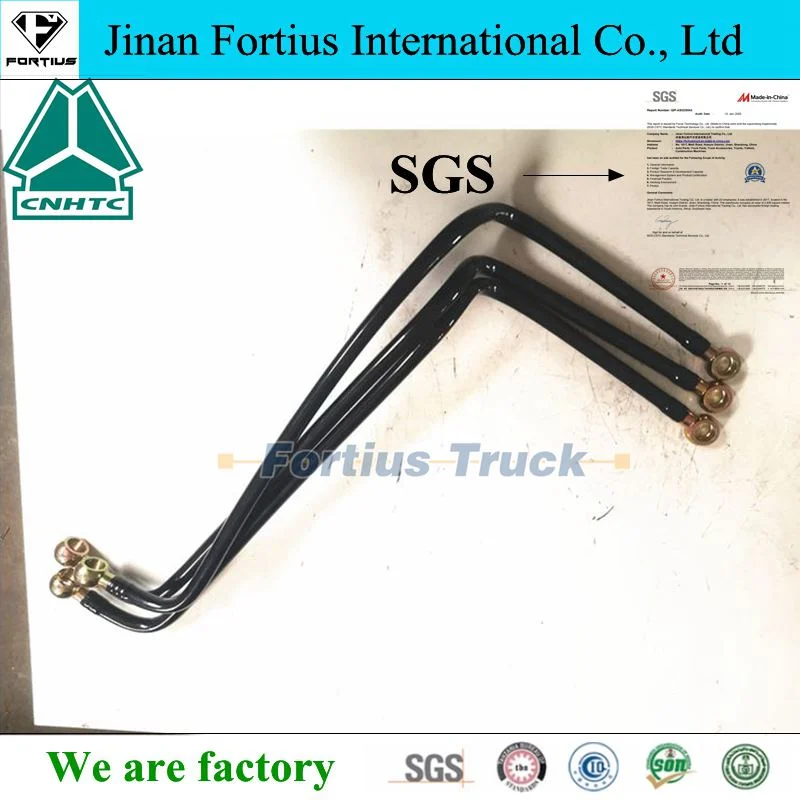 Sinotruk HOWO Fuel Pipe Assembly Vg1092080017 Auto/Engine/Machinery/Trailer Truck Parts for Shacman Camc FAW Foton North Benz Tractor Truck