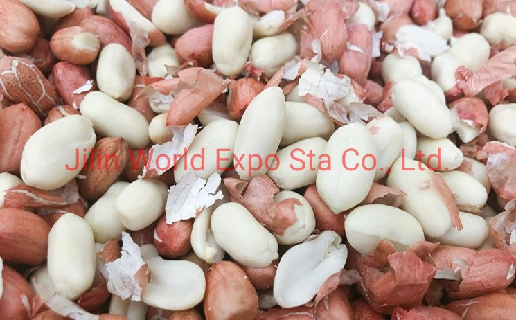 New Crop Blanched Peanut Kernels Luhua 25/29 with Good Quality