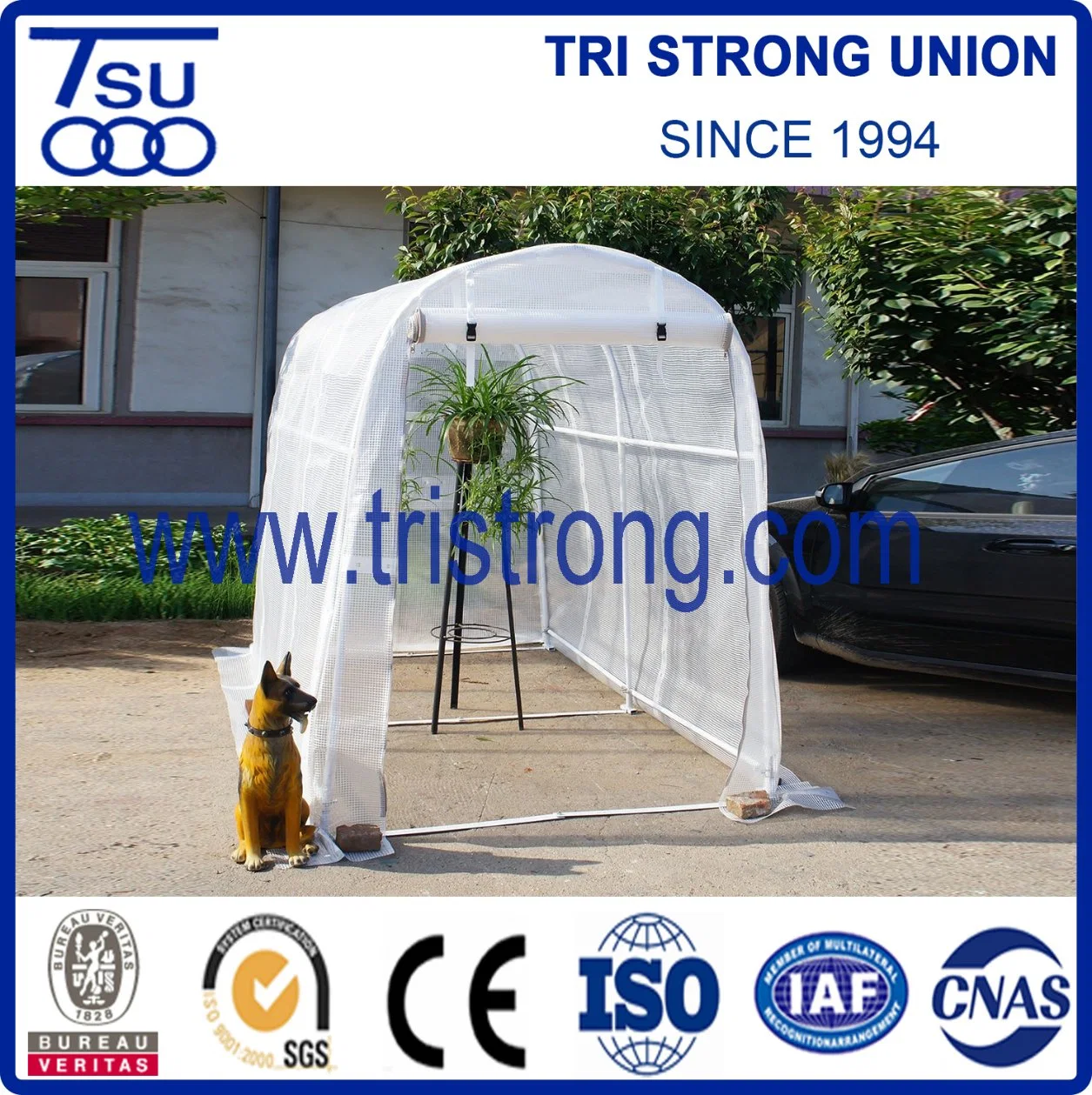 Garden Tool Storage/Hothouse/Small Greenhouse (TSU-162G)