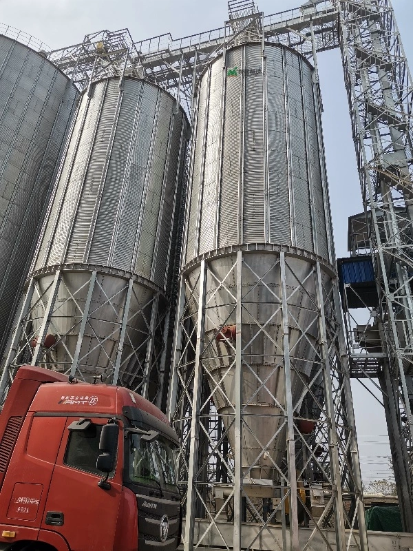 Custom Steel Structure Galvanized Grain Silo Have The Best Fire Rating