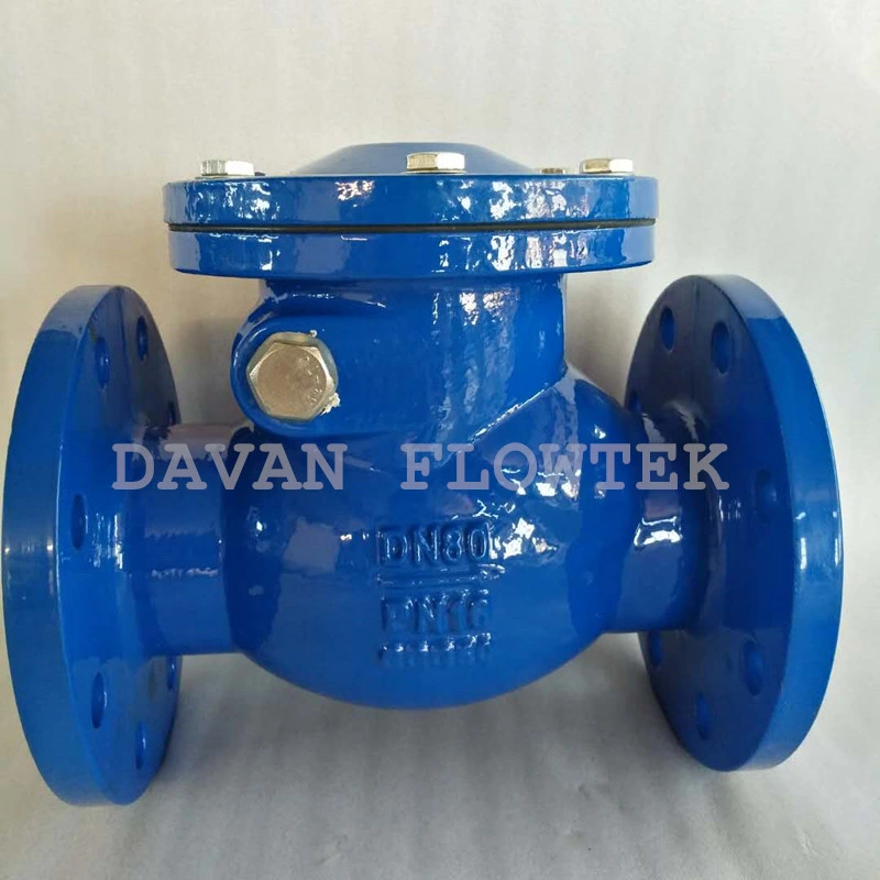 Cast Iron Gg25 DN100 Swing Check Valve Flanged Check Valve DIN/BS Standard Globe Valve Pn16 Metal Seat Gate Valve Original Factory Swing Check Valve