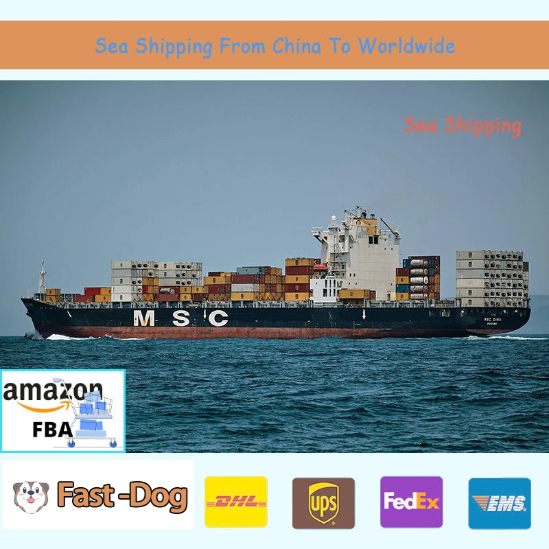 Discounted Sea Shipping Cost From China to Stockholm Sweden Reliable Professional Shenzhen Freight Forwarder