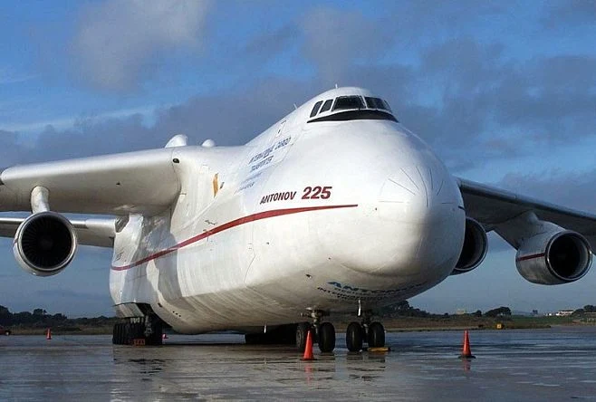 Profissional Amazon FBA Freight aéreo/DHL FedEx UPS TNT/Agente de expedição da China para Argélia