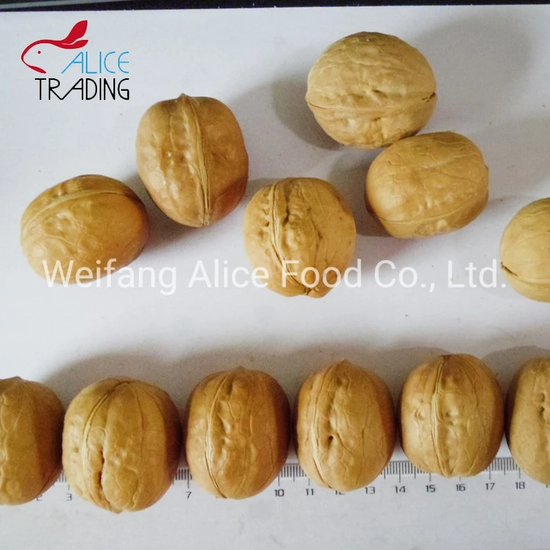 New Crop Export Standard Halal Kosher Certificated China Wholesale/Supplier Paper Shell Walnut