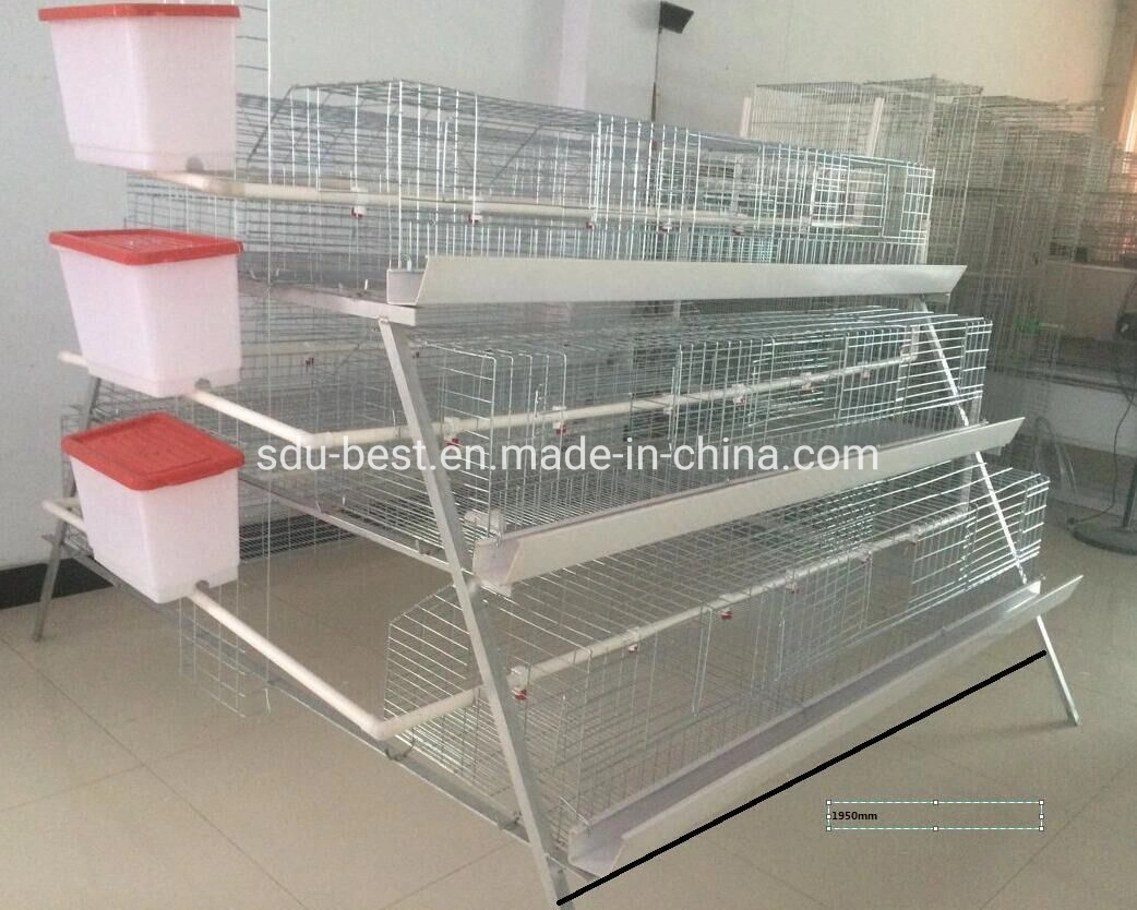 Automatic Poultry Farming Cage System for Layer and Broiler