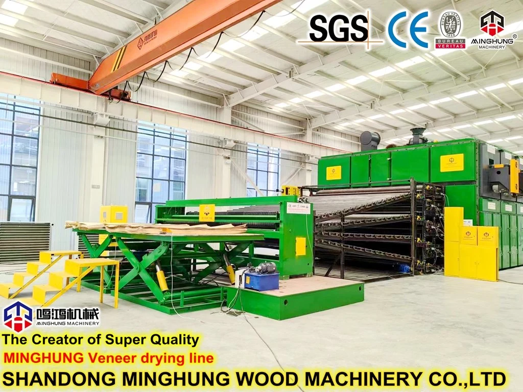 Veneer Drying Line Veneer Drying Technology for Wood Forest Machine