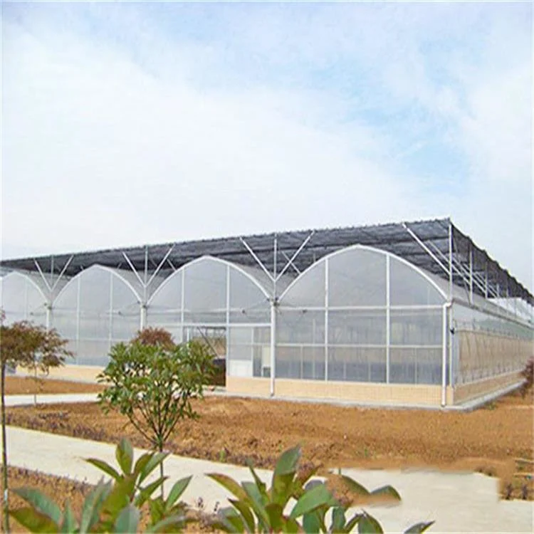 Hot Sale Low Cost Green Houses Agriculture Commercial Polytunnel Plastic Film Greenhouse for Lettuce/Tomato with Hydroponic Growing Systems