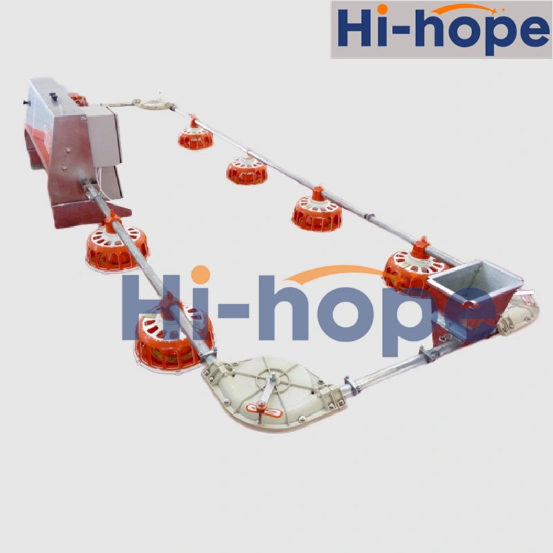 Chain Plate Conveyor Feed System for Poultry Field