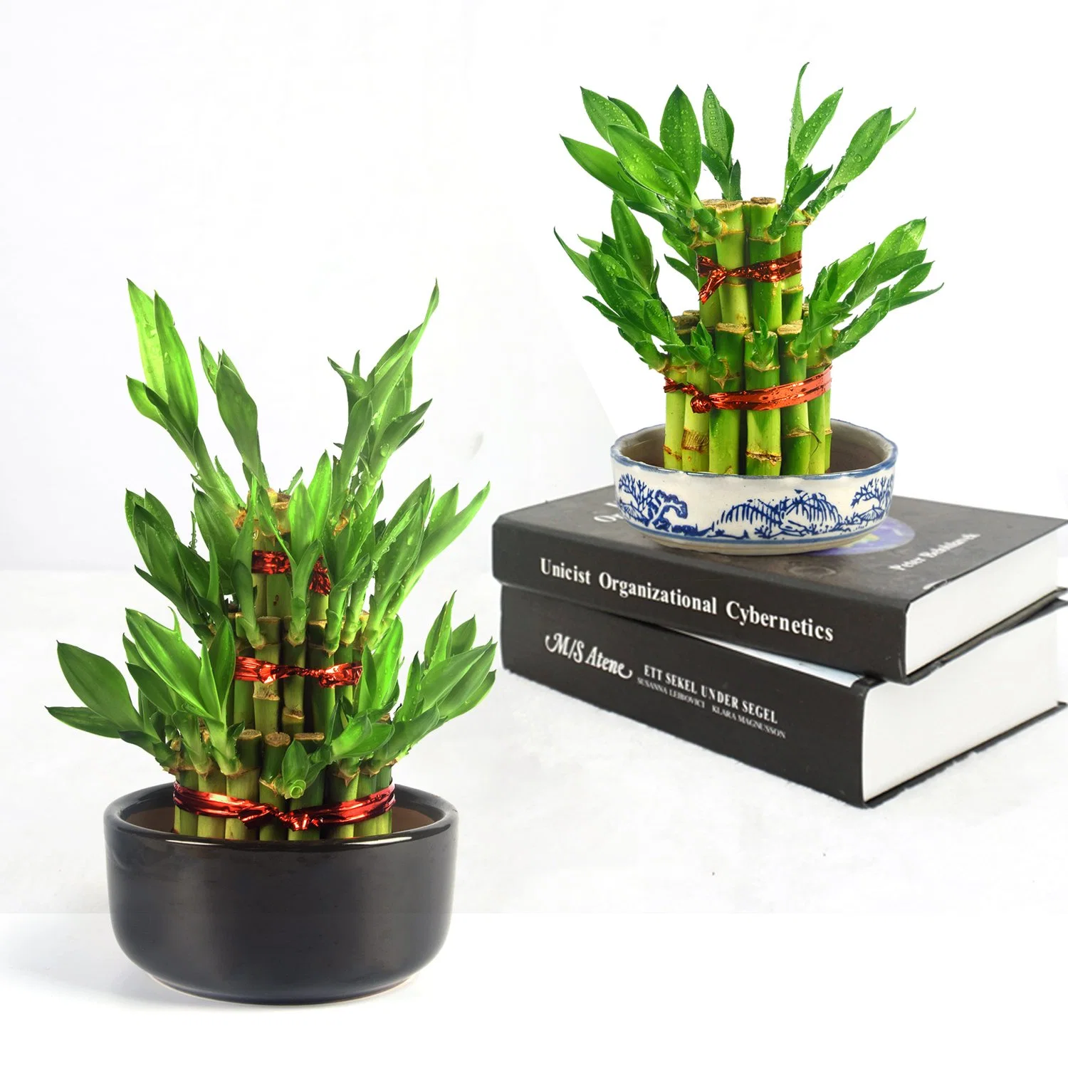 Grüne Pflanzen 2, 3 Tier Lucky Bamboo Tower für Feng Shui Home Growth