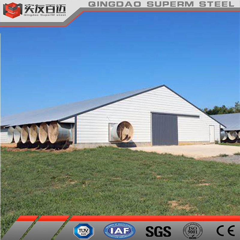 New Design Automatic Egg Layer Poultry Farm Battery Chicken House for 10000 Laying Hens