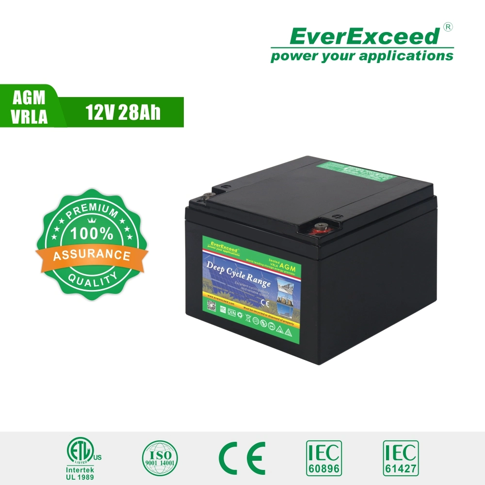 Everexceed 12V28ah Rechargeable Deep Cycle Battery Solar Storage Energy System Battery Marine Electric Scooter Battery Boat Power Bank to Replace AGM Battery