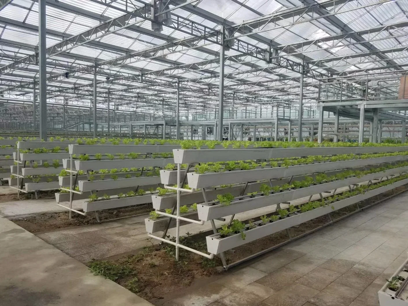 Greenhouse Hydroponic System Strawberry Cultivation Tray Trough