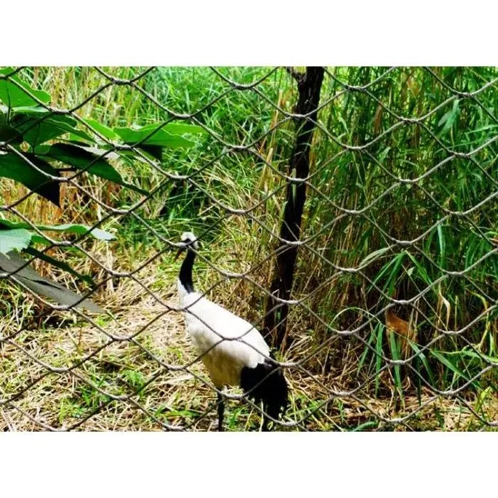 Camu Paisant protector de la EMU coronado rojo Aviary Bird Cages Pavo Pavo malla Red de cercado