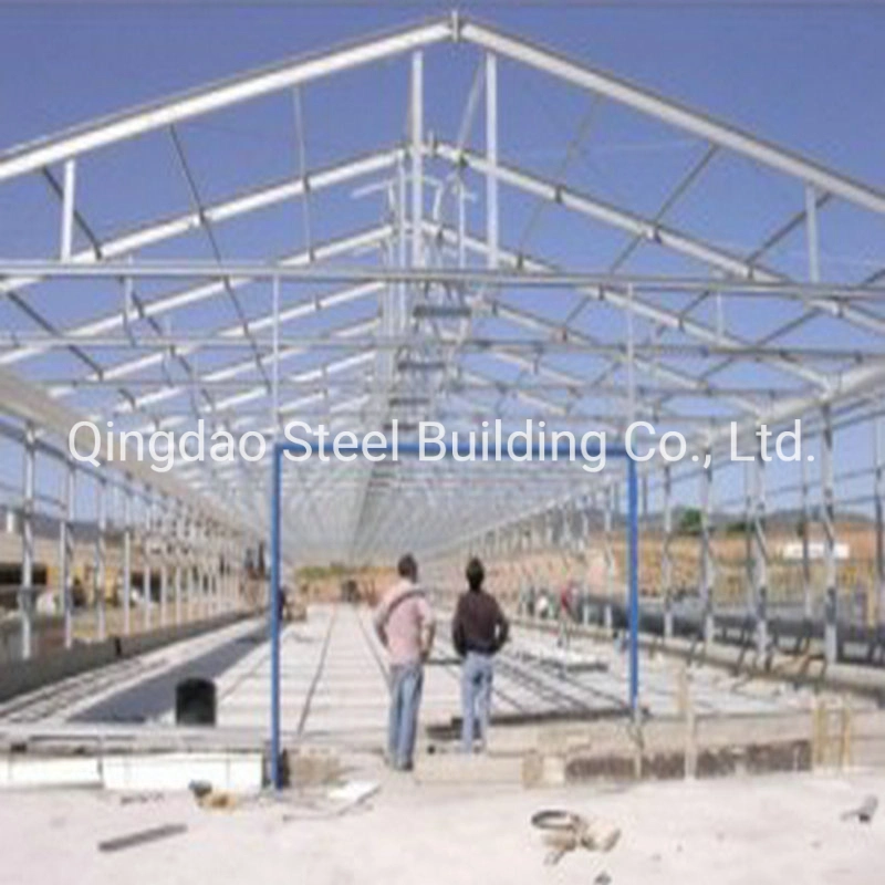 La estructura de acero galvanizado para la construcción de la casa de aves de corral prefabricados granja de pollos parrilleros materiales de construcción de la casa de diseño derramada