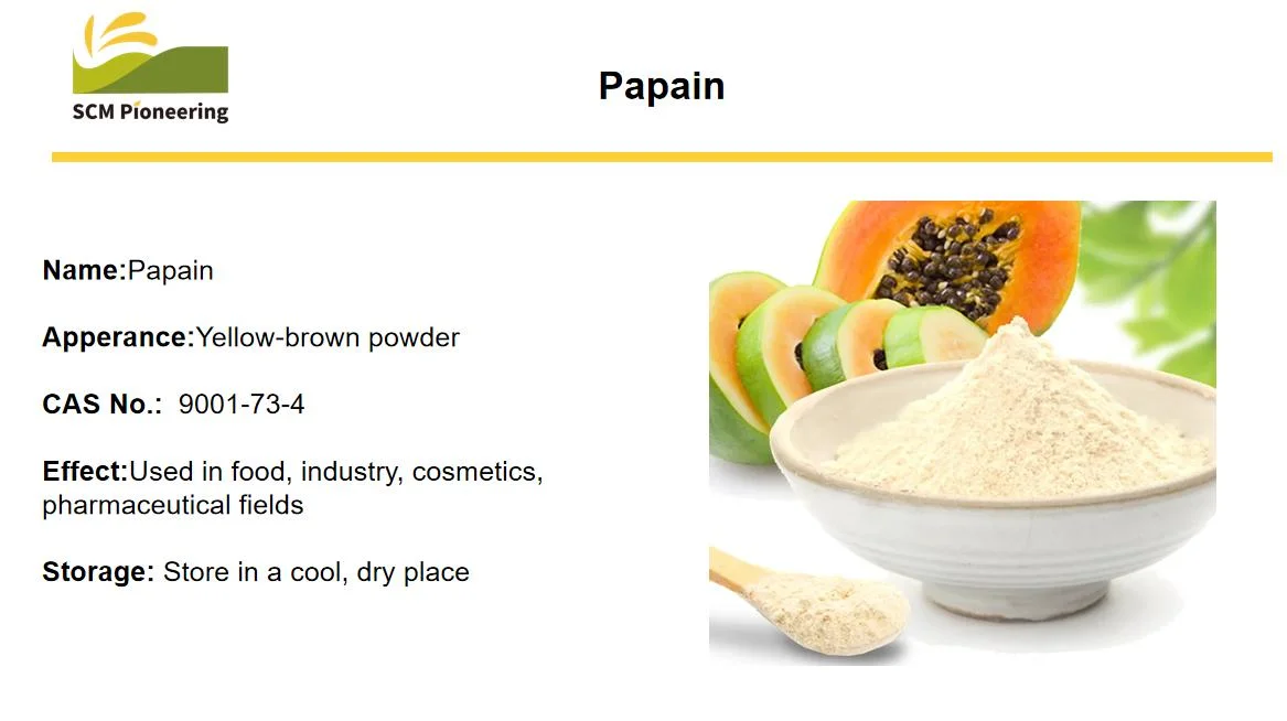 Papaya Latex Extract Papaya Fruit Extract Enzyme, Papain Powder for Health Care Food 9001-73-4