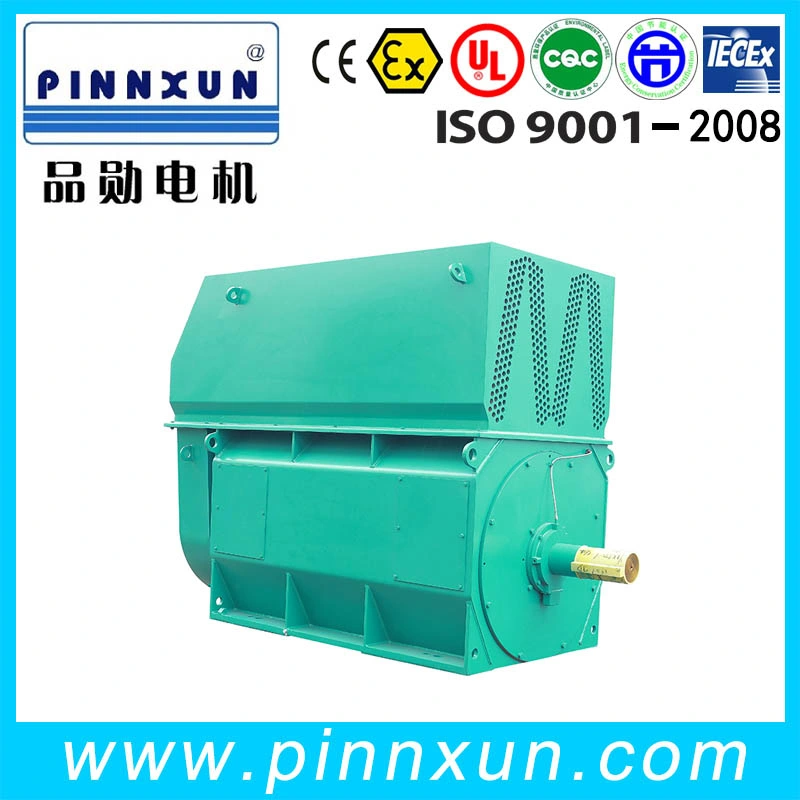 AC Electric Motor Fuel Pump Motor