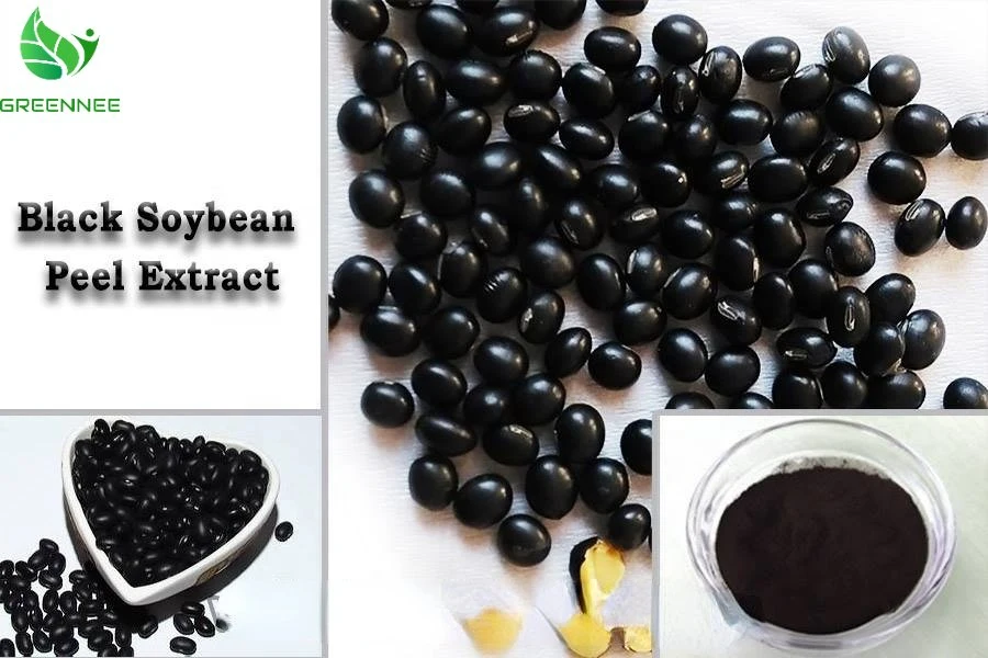 Kosher Certified Organic Black Bean Seed Coat Extract Powder Anthocyanidins 25% Black Soybean Hull Ecxtract