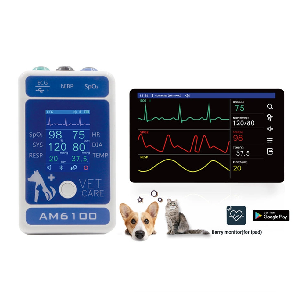 Instrument multiparamètre Icen Paramètre vétérinaire avec des prix bon marché