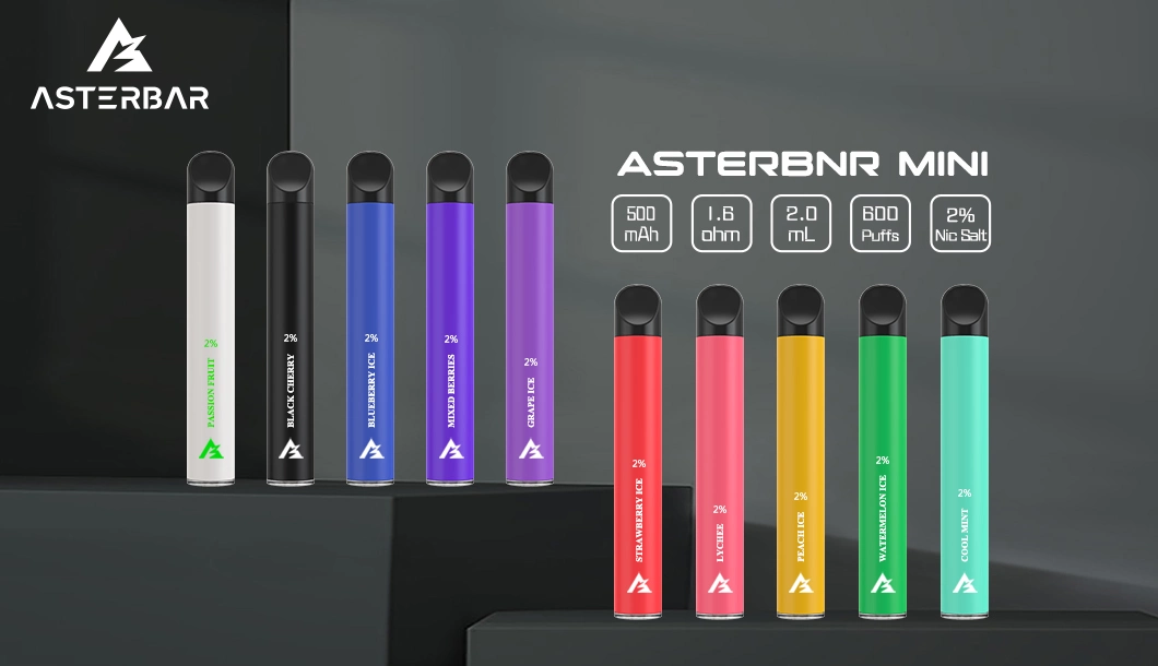 Vape Pen Factroy Großhandel/Lieferant Asterbar Nano 600 Puffs Preis Einweg Vape Pen OEM &amp; ODM Einweg Vape Pen