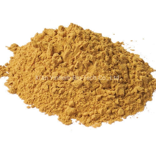 Enhance Human Resistance 1.5% 3% 5% Ksm-66 Ashwagandha Extract Withanolides Powder Plant Extract