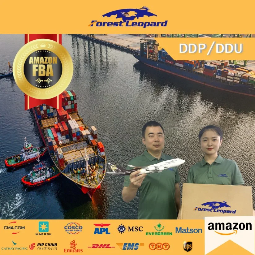 DDP/ DDU Shipping Agent Amazon Fba Freight Forwarder China to Dubai UAE USA Italy France Germany Door to Door Delivery Service