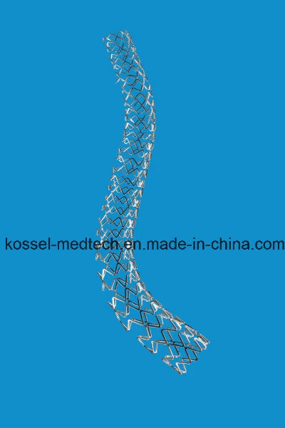 Coronary Cardiac Stent with OEM ODM Service for Cardiology